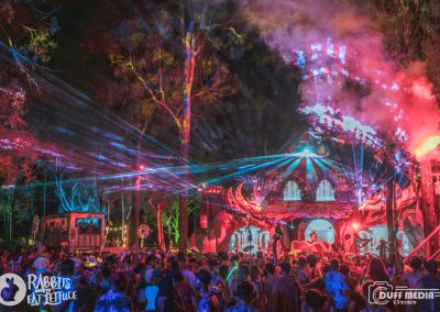 Rabbits Eat Lettuce 2022 Image 1