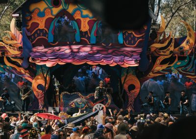 Rabbits Eat Lettuce 2022 Image 2