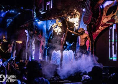 Rabbits Eat Lettuce 2022 Image 5