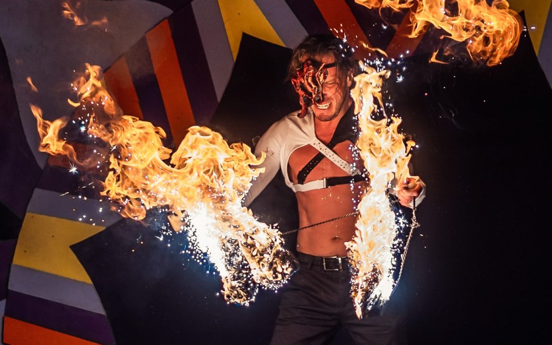 Rabbits Eat Lettuce 2022